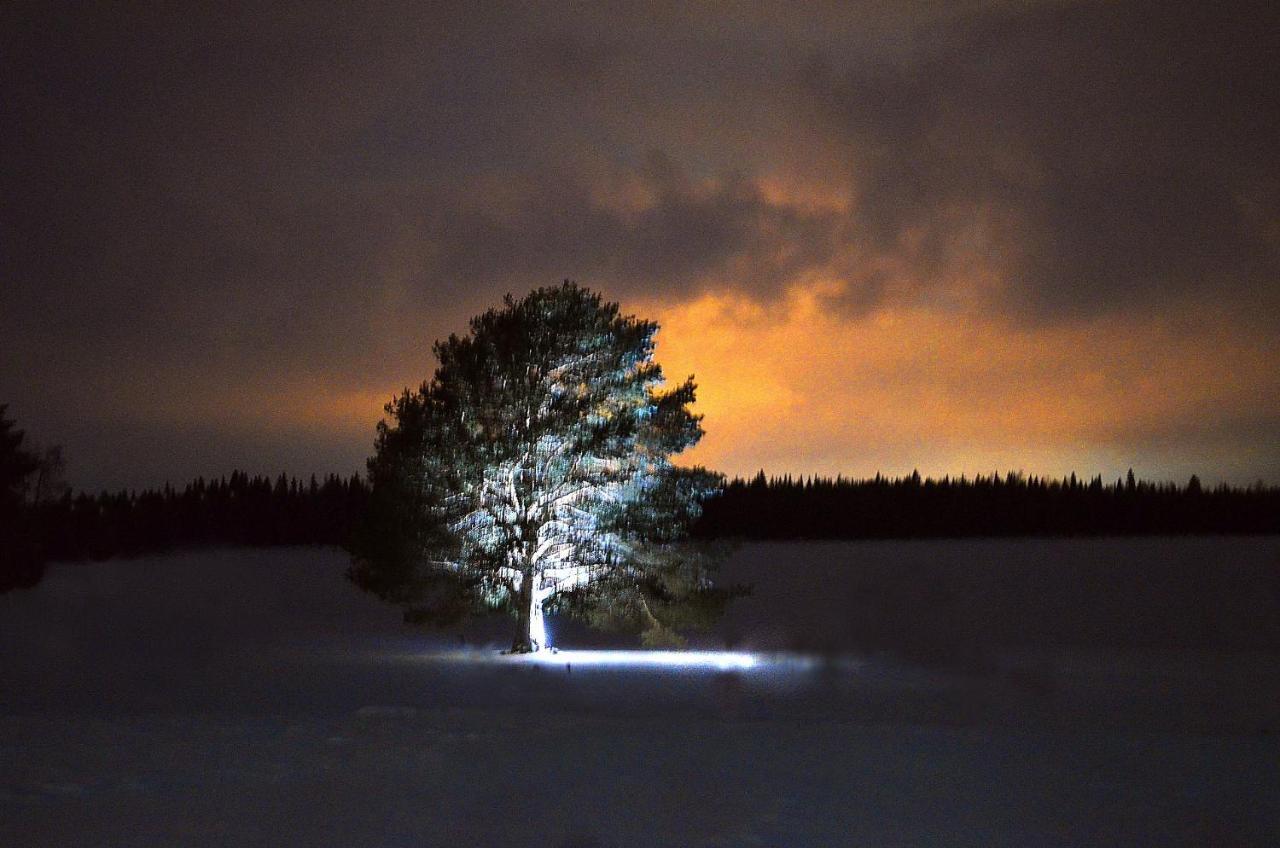 Nordic Lapland Frevisoren Batskarsnas Exterior photo